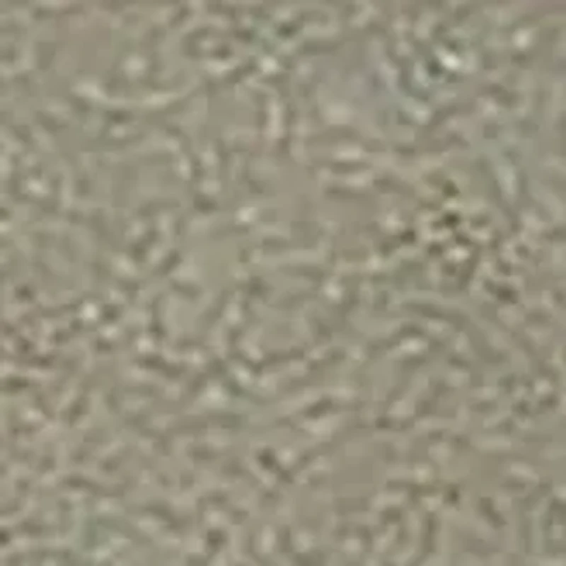 Youth Girls Unicorn Booties