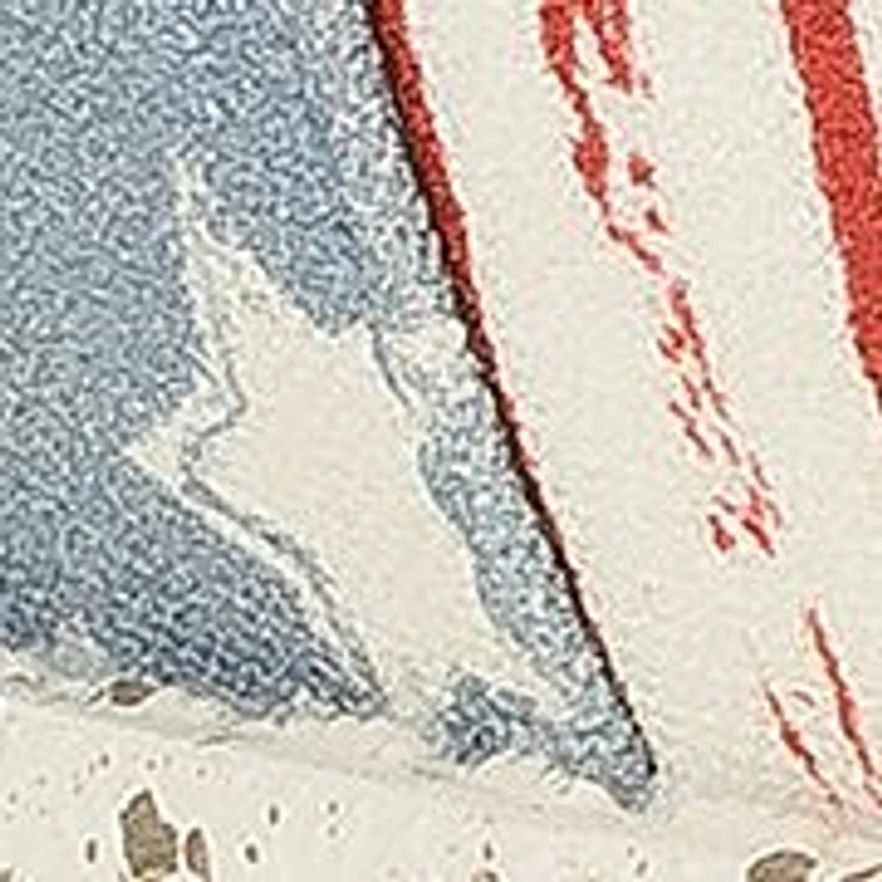 Little Kid Boys Wally Funk T Americana Stars Loafers