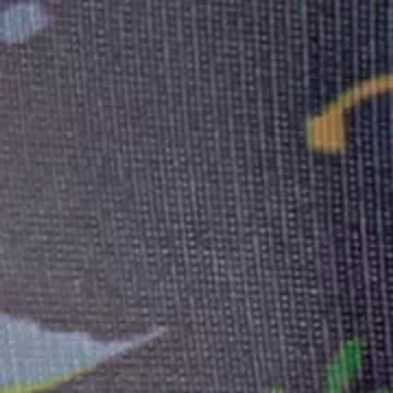 Little Kid Boys Dinosaur Rainboots