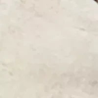 Youth Girls Pamela Sneakers