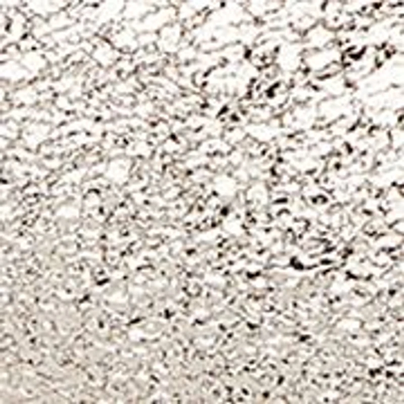 Little Kid Girls Drew Sneakers