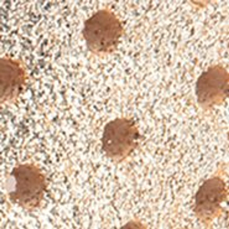 Big Kid Girls Jefferson Bio Bling Sneakers