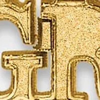 14K Yellow Gold Polished 2025 Graduation Charm