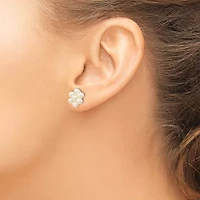 14K Yellow Gold 3-4mm White Egg Freshwater Cultured Pearl Flower Earrings