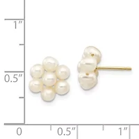 14K Yellow Gold 3-4mm White Egg Freshwater Cultured Pearl Flower Earrings