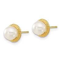 14K Yellow Gold 5-6mm White Button Freshwater Cultured Pearl Earring and Pendant Set