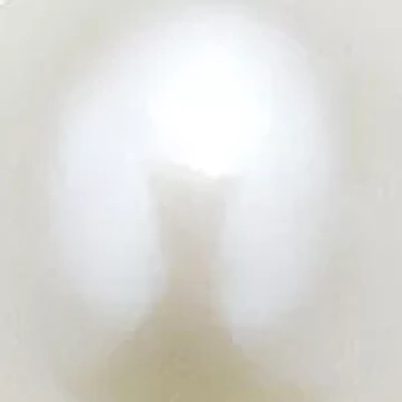 14K Solitaire Pearl Necklace on Cable Chain