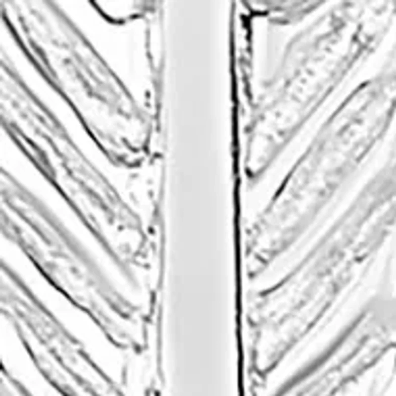 Sterling Silver Arrow Drop Earring