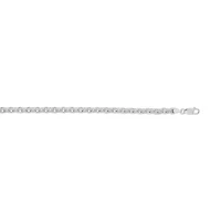 SS 7.25' Rolo Chain Bracelet With Lobster Clasp