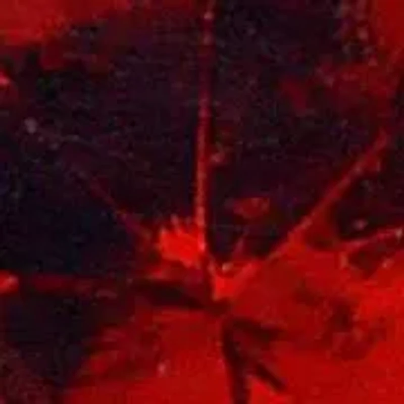 14KT Garnet Post Earring Back Clasp