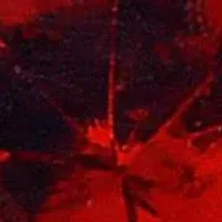 14KT Garnet Post Earring Back Clasp