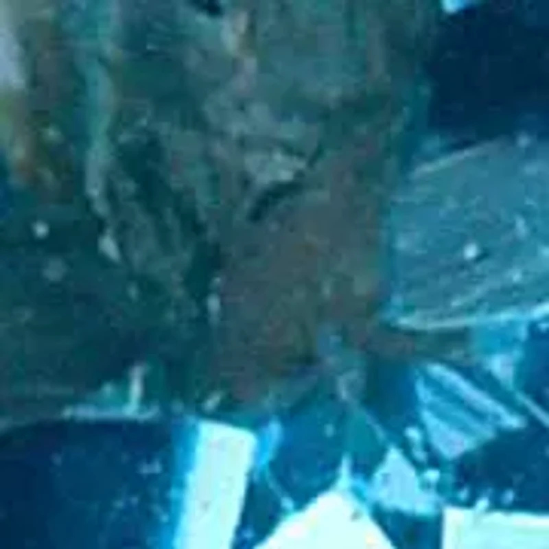 14KT Blue Topaz Post Earring Back Clasp