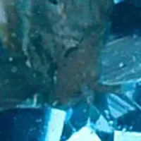 14KT Blue Topaz Post Earring Back Clasp