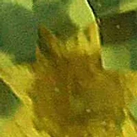 14KT Peridot Post Earring Back Clasp