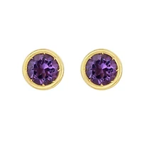 14KT Amethyst Post Earring Back Clasp