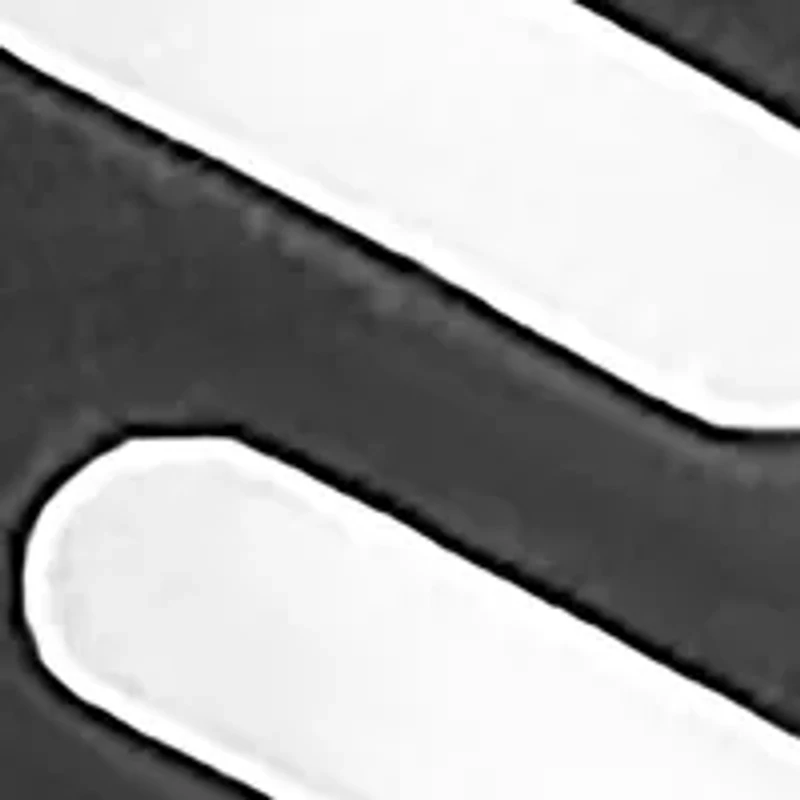 Stainless Steel Ring with Black Ion Plating