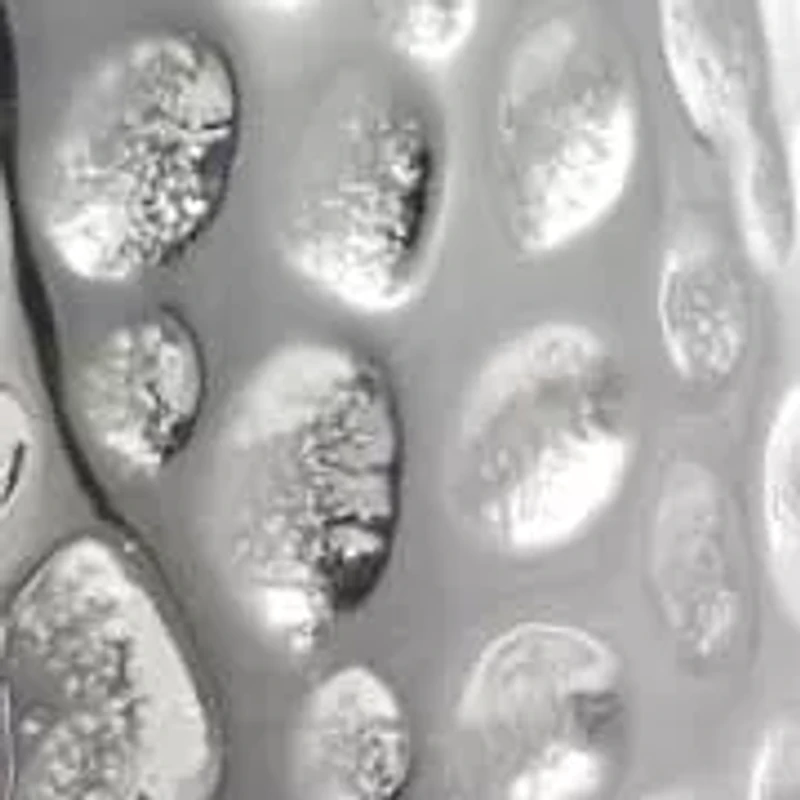 Stainless Steel Textured Ring