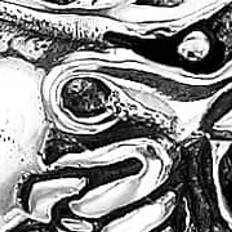 Stainless Steel Dragon Head Wheat Chain Bracelet