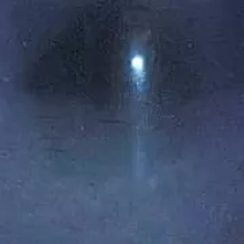 Sterling Silver Pearl Fish Hook Earrings