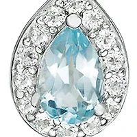 Women's Sterling Silver Blue Topaz Drop Earrings