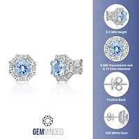 10K White Gold Aquamarine & 1/8 Carat T.W. Diamond Earrings