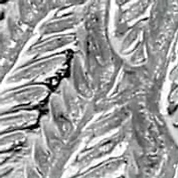 Diamond Accent Angel Wing Love Disc Charm Pendant in Sterling Silver