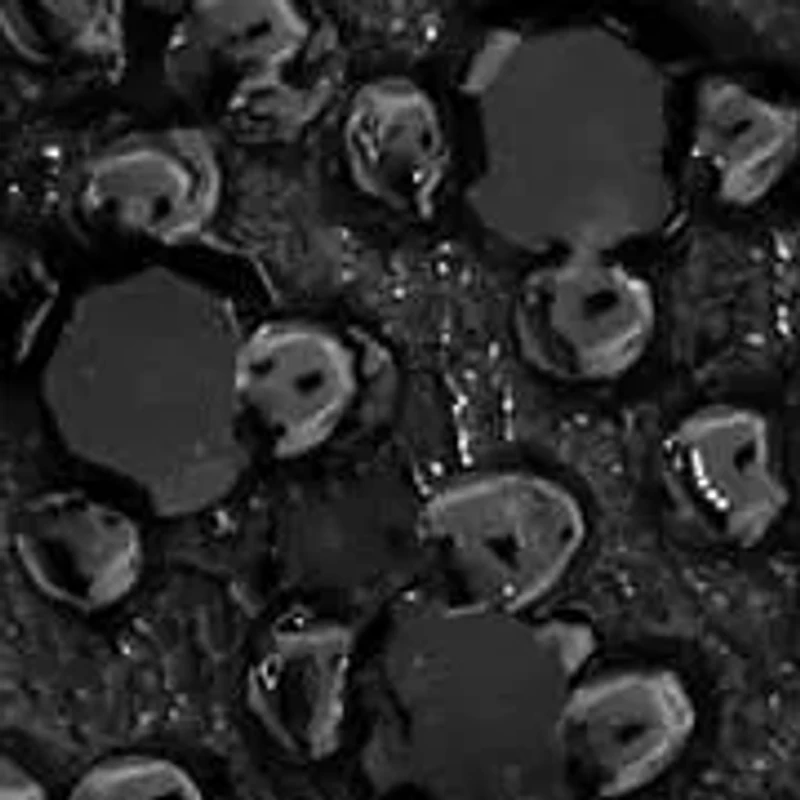 1/5 ct. t.w. Black and White Diamond Heart Pendant in Sterling Silver