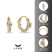 Hoop Earrings in Gold Tone Ion Plated Stainless Steel