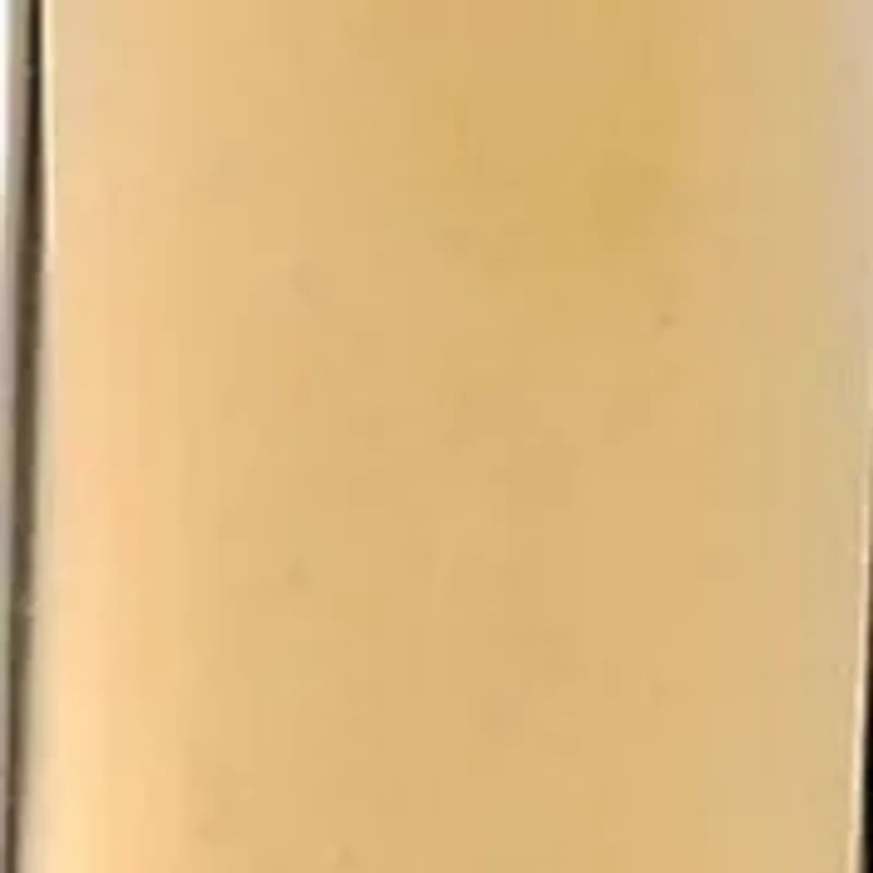 Hoop Earrings in Goldtone Ion Plated Stainless Steel