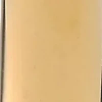 Hoop Earrings in Goldtone Ion Plated Stainless Steel