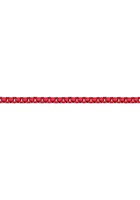 Stainless Steel 6MM Round Box Chain Necklace with Red Acrylic Coating, 22" Length