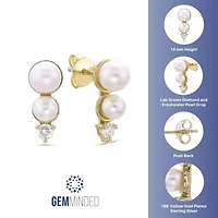 Lab Created Gemminded 1/ ct. t.w. Lab-Grown Diamond Earrings in 18k Gold Over Silver