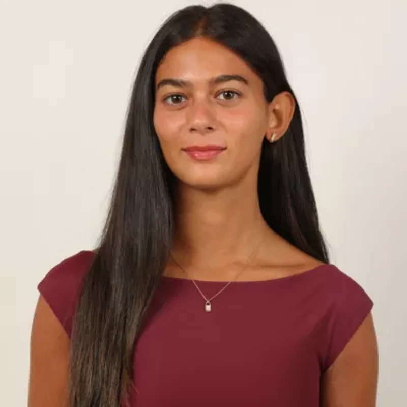 Lab Created 18k Gold Plated Silver 1/10 CTTW Lab Grown Diamond Bar Earrings