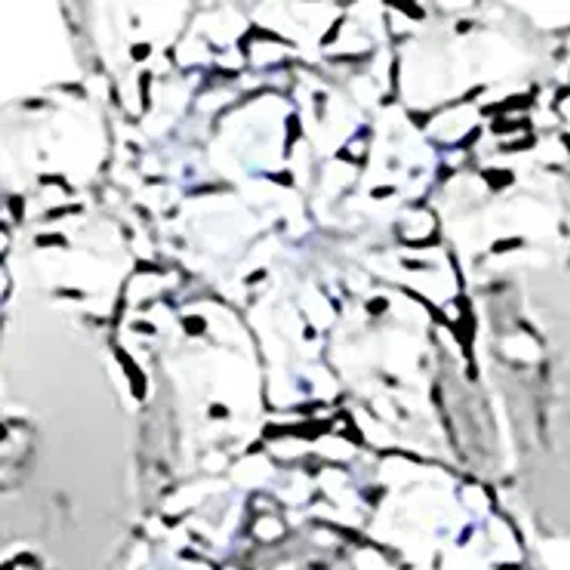 1/6 C.T.T.W Diamond 14K Cross Ring