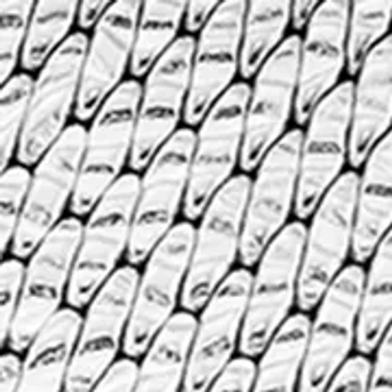 Goddess of Time Watch 