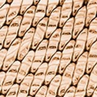 Goddess of Time Watch 