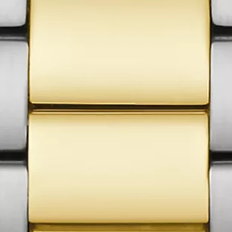 Surveyor Men's Automatic Two-tone Stainless Steel Bracelet Watch