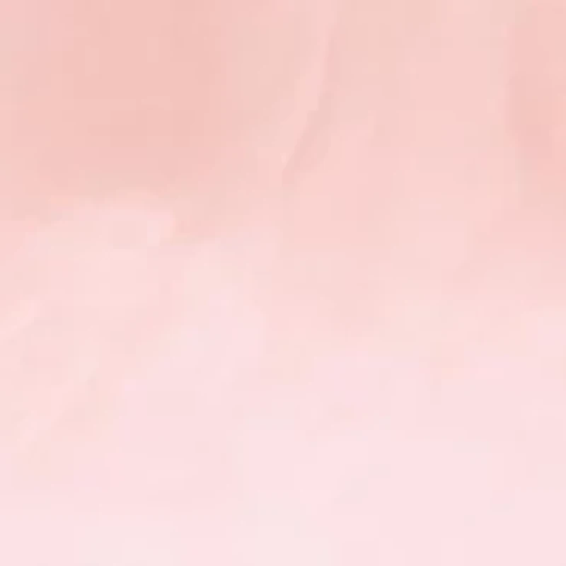 Pink Dial Bangle Watch 