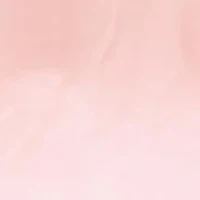 Pink Dial Bangle Watch 