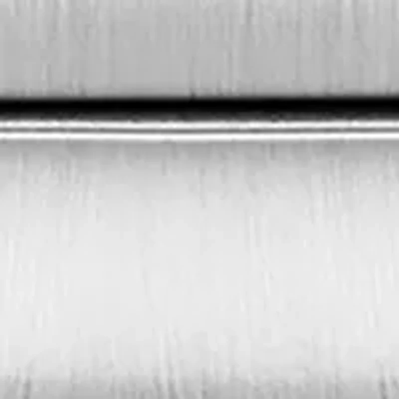 Men's Promaster Dive Silver Tone Bracelet Watch