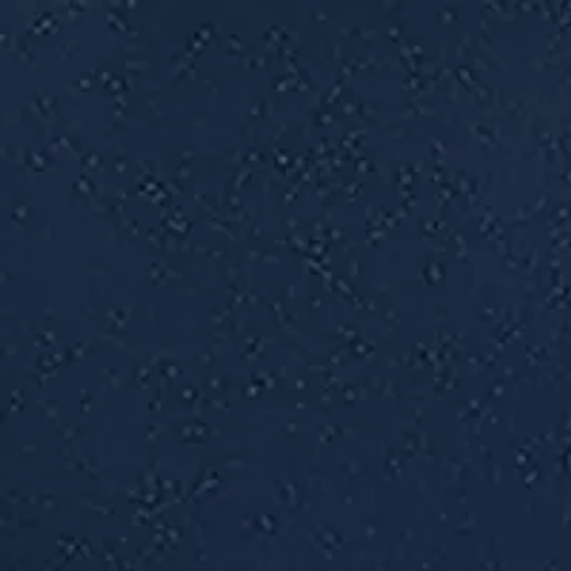 46 Millimeter Promaster Dive Orca Blue Strap Watch