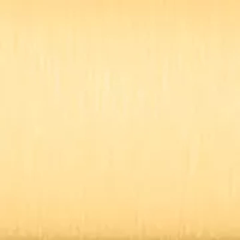 Women's Dress Classic Gold Tone Stainless Steel Watch