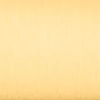 Women's Dress Classic Gold Tone Stainless Steel Watch