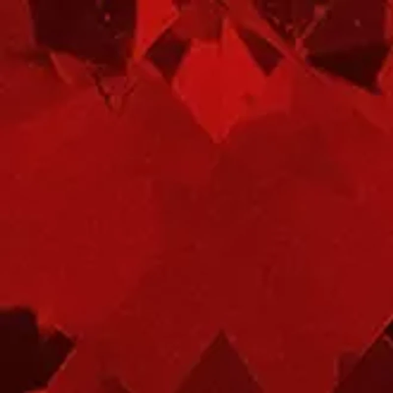 Garnet Drop Earrings