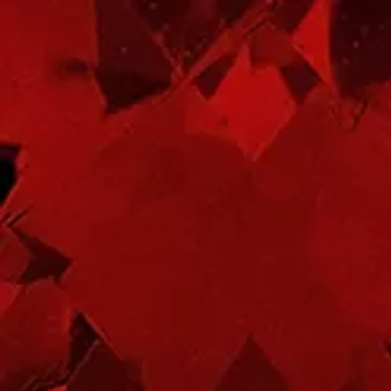 Garnet Stud Earrings