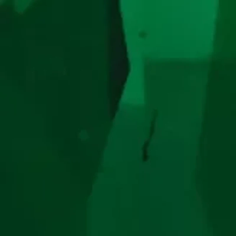 Pear-Cut Green Quartz and White Topaz Halo Dangle Lever Back Earrings in Sterling Silver (18 in x 8 mm)