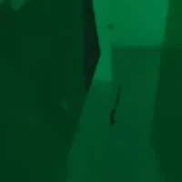 Pear-Cut Green Quartz and White Topaz Halo Dangle Lever Back Earrings in Sterling Silver (18 in x 8 mm)