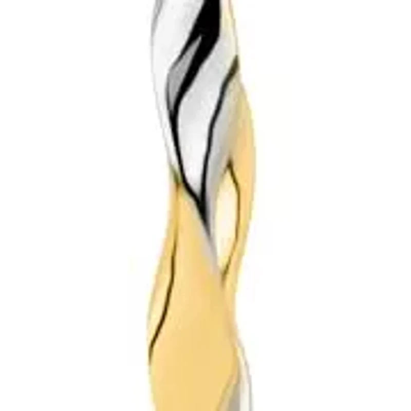 Solid 10K Gold Two Tone Earrings | 20mm Twisted Real 10K Gold Hoop Earrings for Women | Hypoallergenic 10 Karat Two Toned Earring for Women by MAX + STONE