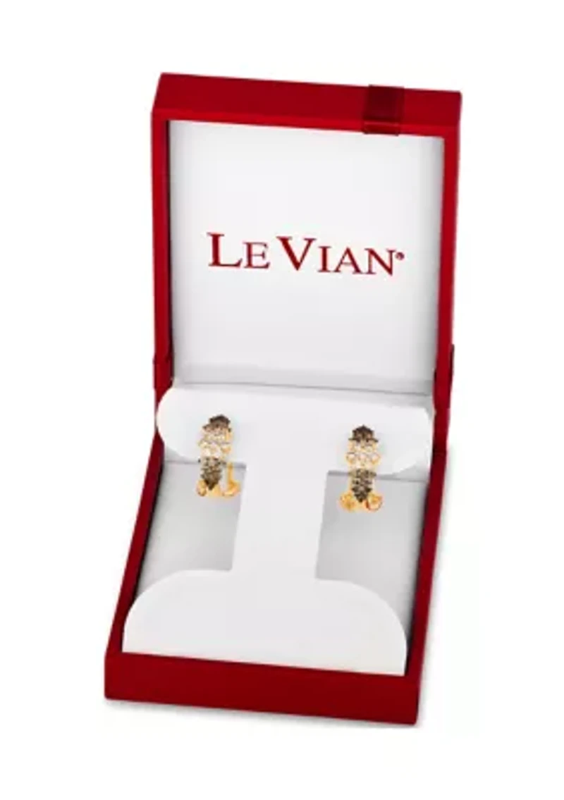 1 ct. t.w. Chocolate Ombré Diamonds® Ombré Earrings set in 14K Honey Gold™