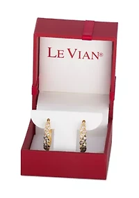 Ombre® Earrings featuring 5/8 ct. t.w. Chocolate Ombré® Diamonds set in 14K Honey Gold™